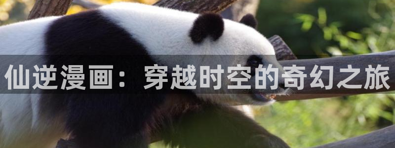 51漫画网页入口：仙逆漫画：穿越时空的奇幻之旅