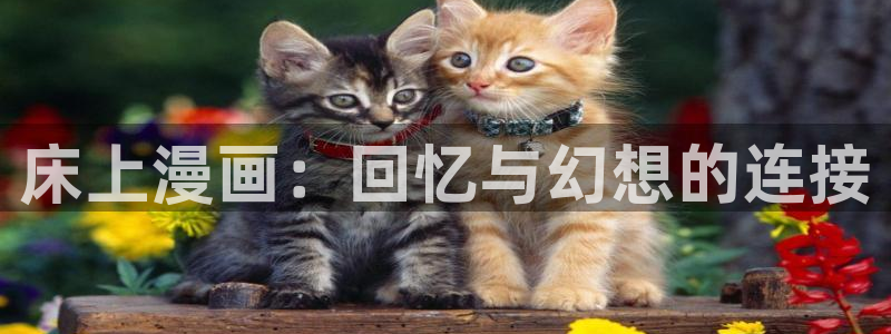 51漫画登录平台：床上漫画：回忆与幻想的连接